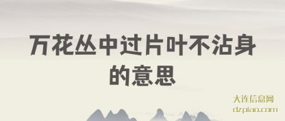 万(wan)花丛(cong)中过片叶(ye)不沾身的意思(si)