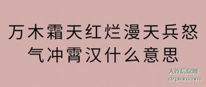 万木霜天红烂(lan)漫天兵(bing)怒气冲霄汉什么意思