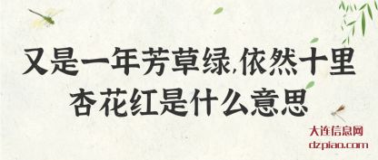 又是一年芳草(cao)绿,依(yi)然十里杏花红是什么意思