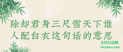 除却君身三尺(chi)雪天下谁人配(pei)白衣这句话的意思