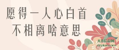 愿得一人心白(bai)首不相离啥意(yi)思