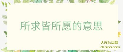 所求皆所愿(yuan)的意思(si)