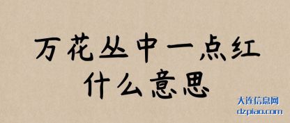 万花丛(cong)中一点(dian)红什(shi)么(me)意思