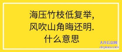 海压竹(zhu)枝低复(fu)举,风吹山角晦还明.什么意思