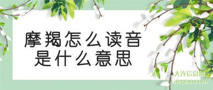 摩羯怎么读音(yin)是什么意思(si)