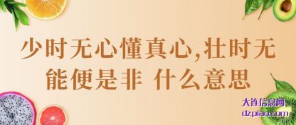 少时无心(xin)懂真心,壮时无(wu)能便是非 什么意思
