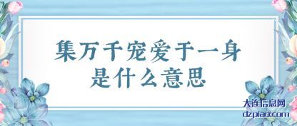 集万千宠爱于(yu)一身是什么(me)意思