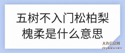 五树不入门松(song)柏梨槐柔是什(shi)么意思