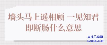 墙头马上遥相(xiang)顾 一见知君(jun)即断肠什么意思