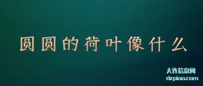 圆(yuan)圆的(de)荷叶像(xiang)什(shi)么