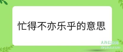 忙得不(bu)亦乐(le)乎的(de)意思