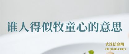 谁人得似牧(mu)童心的(de)意思
