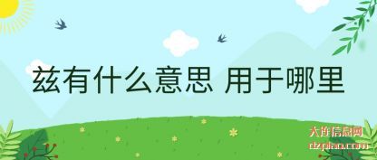兹有什(shi)么意思 用于(yu)哪里