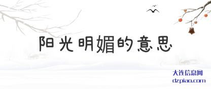 阳光明媚的(de)意思