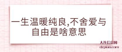 一生温暖(nuan)纯良,不舍爱(ai)与自由是啥意思