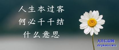 人生本(ben)过客何必千(qian)千结什么意思