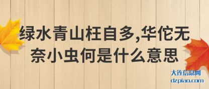 绿水青(qing)山枉自多(duo),华佗无奈小虫何是什么意思
