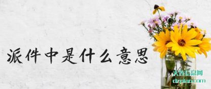 派件中是什么(me)意思