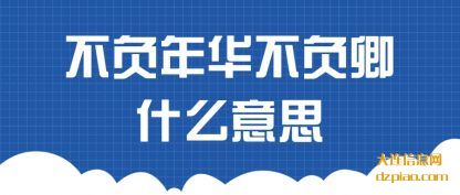 不负年华不(bu)负卿什么意(yi)思