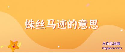 蛛丝马迹的(de)意思