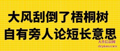 大风刮倒了(le)梧桐树(shu) 自有旁人论短长意思