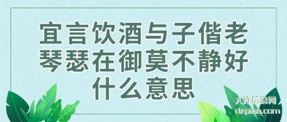 宜言饮(yin)酒与子偕老琴(qin)瑟在御莫不静好什么意思