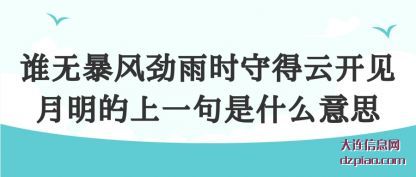 谁无暴风劲(jin)雨时守得(de)云开见月明的上一句是什么意思