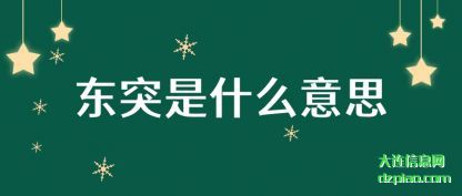 东突是(shi)什么意思