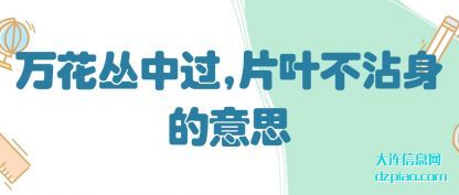 万花丛(cong)中过,片叶不(bu)沾身的意思