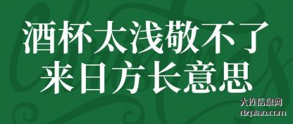 酒杯太浅敬(jing)不了来(lai)日方长意思