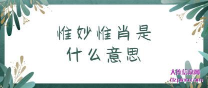 惟妙惟肖是(shi)什么意(yi)思
