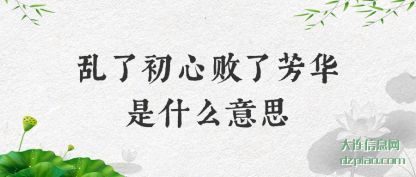 乱了初心(xin)败了芳(fang)华是什么意思
