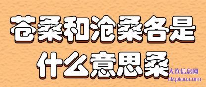 苍桑和(he)沧桑各是什么(me)意思桑