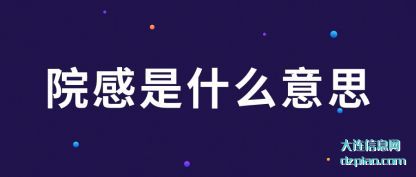 院感是什(shi)么意思