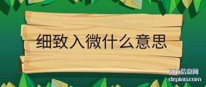 细致入(ru)微什么(me)意思