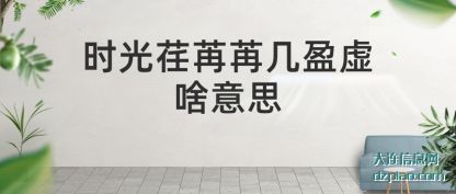 时光荏(ren)苒苒几盈虚啥(sha)意思