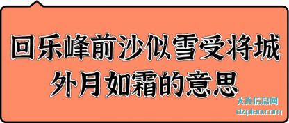 回乐峰前(qian)沙似雪受(shou)将城外月如霜的意思