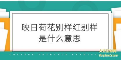 映日荷花别样(yang)红别样(yang)是什么意思