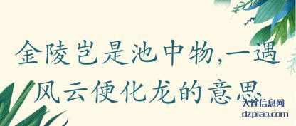 金陵岂(qi)是池中(zhong)物,一遇风云便化龙的意思