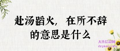 赴汤蹈火,在所不(bu)辞的意思是(shi)什么