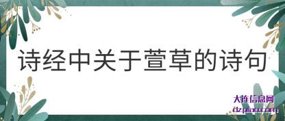 诗经中(zhong)关于萱(xuan)草的诗句