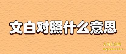 文(wen)白对(dui)照什么(me)意思(si)