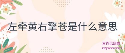 左牵黄(huang)右擎(qing)苍是(shi)什么(me)意思