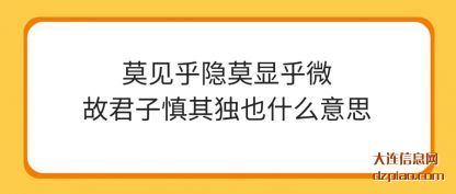 莫见乎隐(yin)莫显乎微故(gu)君子慎其独也什么意思
