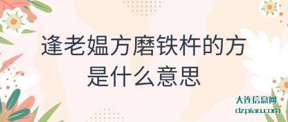 逢老媪方磨(mo)铁杵的方是(shi)什么意思