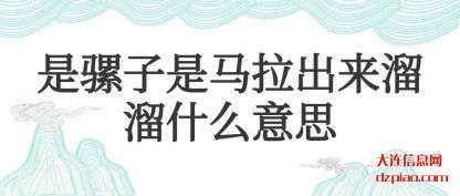 是骡子(zi)是马拉出(chu)来溜溜什么意思