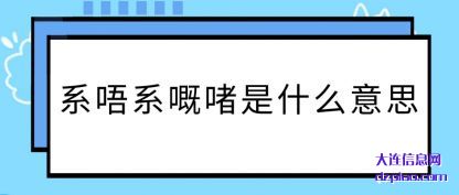 系唔系嘅啫是(shi)什么意(yi)思(si)