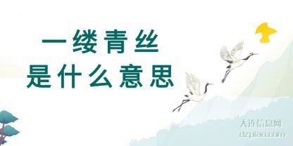 一缕青丝(si)是什么意思