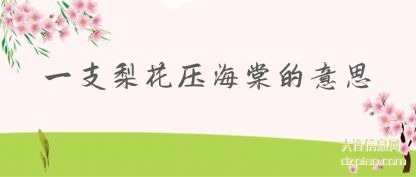 一支梨花压海(hai)棠的意(yi)思
