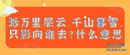 渺万(wan)里层云(yun),千山暮(mu)雪,只影向谁去?什(shi)么意思